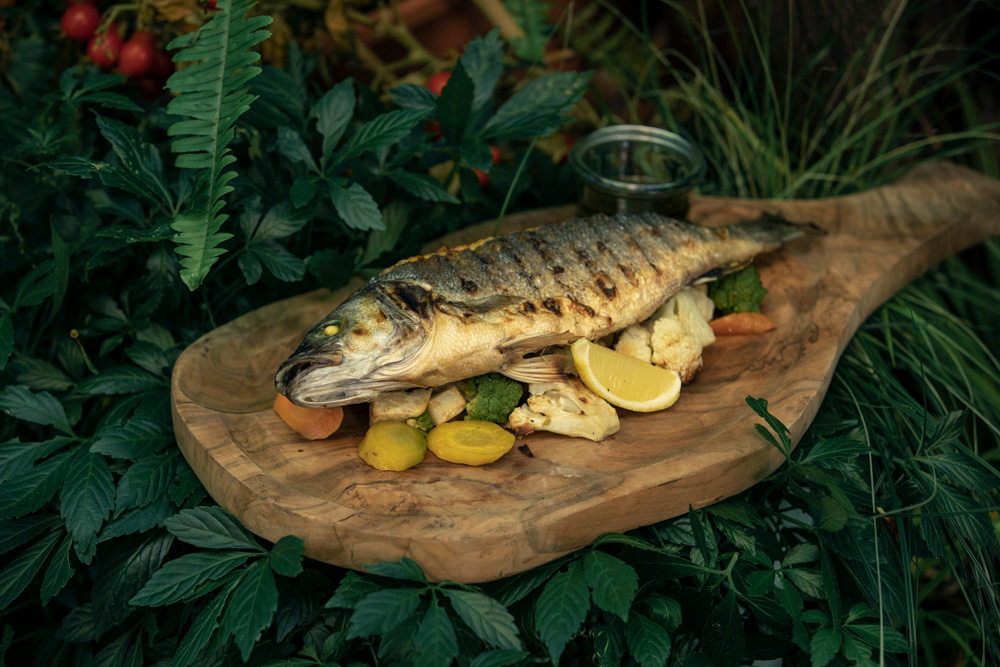 Teller mit Essen